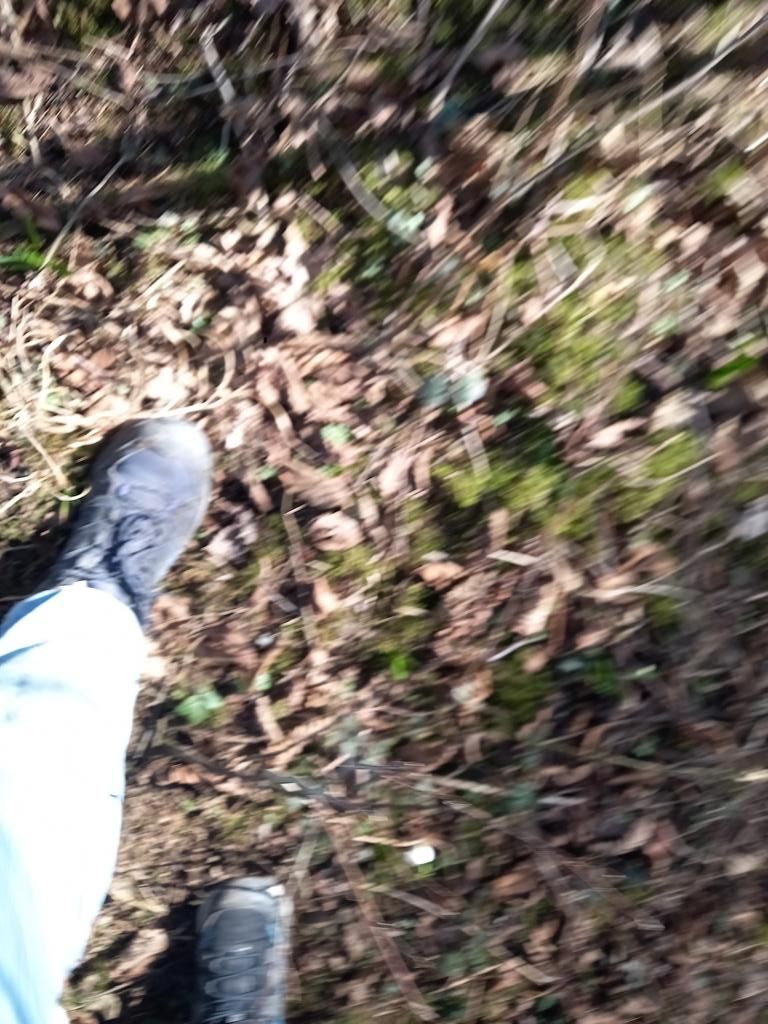 K1024_20250307_104610.JPG