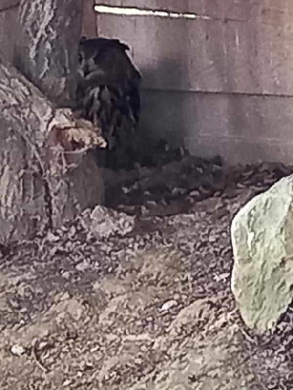20220614_185111.JPG