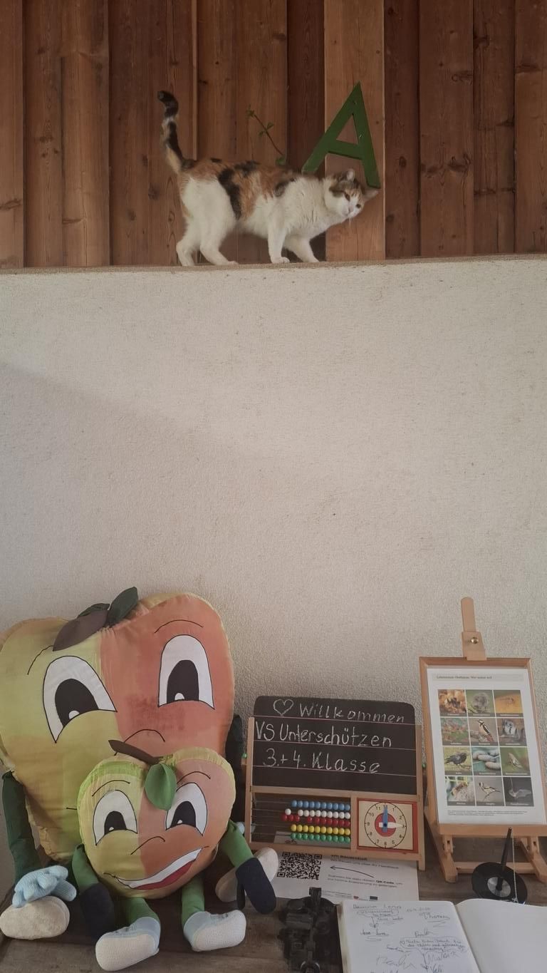 K1024_20260527_142851.JPG