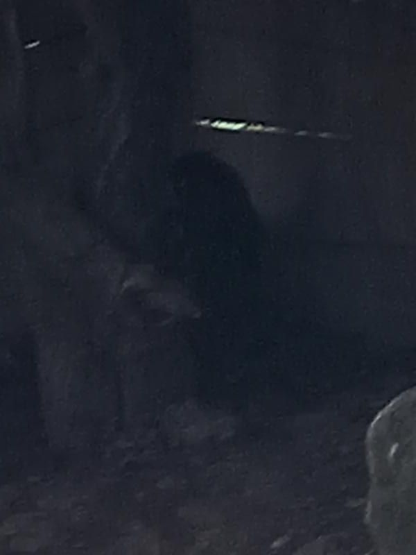 20220614_185101.JPG