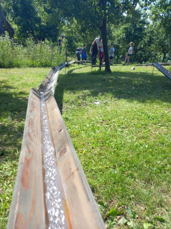 20220614_103154.JPG